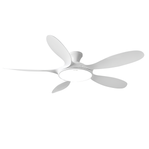 OSIZA | Home Ceiling Fan Light