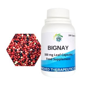 Bignay capsule (Bugnay) 500mg 50 and 100 capsules