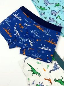 Magic Selection 4pcs Kids Boxer Brief Underwear for Boys Old Cotton Cartoon Dinosaur Printed Pattern Panties 2-15 Years