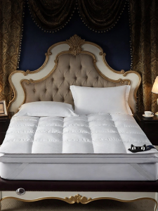 KANGERXIN | Comfortable Protective Foldable Soft Mattress Pad