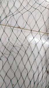 Jaring pagar 2x20 meter untuk bebek ayamtanaman