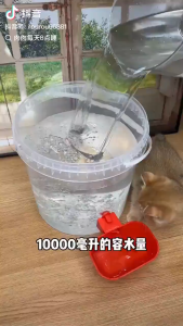 【PET PLAIN】ถังดื่มสัตว์เลี้ยง น้ำพุแมวสัตว์เลี้ยงอัตโนมัติ 10L ถังดื่มสัตว์เลี้ยง น้ำพุแมว แบบใส ปลอดภัย