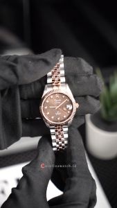 Jam Tangan Wanita Alexandre Christie Classic AC 5014 LDBTRBO Brown Dial Dual tone Stainless Strap