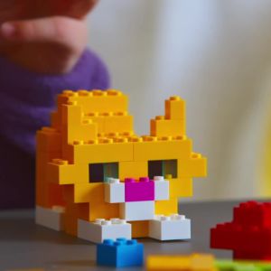 LEGO Classic 11045 Creative Colorful Bricks (820 Pieces)