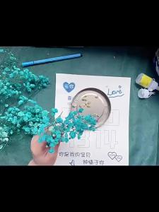 Handcrafted Gypsophila Dried Flowers Light-up Photo Frame