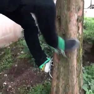 【1 Pasang】Alat Panjat Pohon Kelapa Pinus/Tree Climbing Tool/Alat Panjat Naik Pohon Outdoor