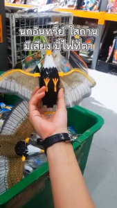 นกเหยี่ยว นกอินทรี เหยี่ยวไล่นก เหยี่ยวใส่ถ่าน มีเสียง มีไฟ ขนาด43ซม. ของแต่งสวน แต่งบ้าน