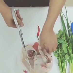 SK5 Scissors Japan Kitchen Scissors Heavy Duty Scissors Gunting Pokok Gunting Dapur Gunting Ikan Tahan Lasak Sun Pet Outlet