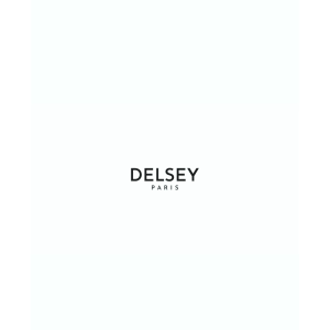 DELSEY SHADOW 5.0 4DW EXP TRCASE - 0028788