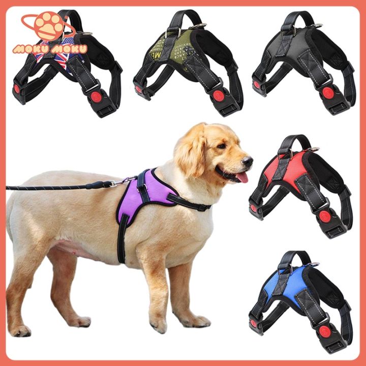 Dog harness lazada hotsell