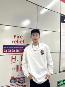 West Coast Small Neckline Long Sleeves T-Shirt Mens American Retro Indian Print Heavy Weight Pure Cotton Niche Style Clothes