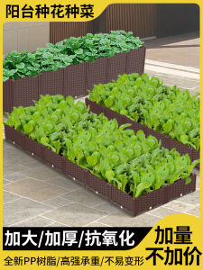 Vegetable Garden Planting Box Extra Large Roof Planting Basin Special Box Roof Vegetable Large Flower Pot Flower Box Outdoor Terrace