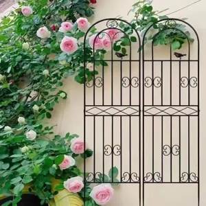 Sleek Outdoor Plant Rack