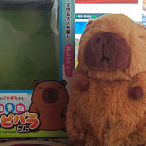 Talking Capybara Plush Toy Doll Birthday Gift for Girls Learn to Speak Water Vole Stuffed Animal Soft PP Cotton Filled Doll