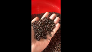 MACPEPPER Cối xay kèm tiêu rang chín nguyên hạt.