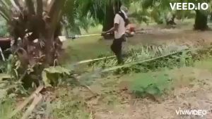 เครื่องแทงทลายปาล์ม หัวเกียร์ตัดปาล์ม เสียม เคียวและใบเลื่อยเปลี่ยนหัวได้ ความยาวรวมคน 4.80ม. สินค้ามีอนุสิทธิบัตร ไทยนต์การเกษตร