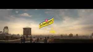 BUNDLE OF 4/8 Schweppes Grapefruit Soda 330ml