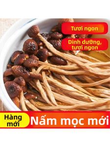 Nấm Hương Sấy Khô Dùng Để Nấu Soup