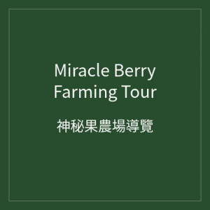 Miracle Berry Dried Berry Snack 2 pcs/pouch 10 pouch/pack Sour to Sweet Healthy to Delicious Ready to Eat Importer: Xuite Technologies Pte Ltd