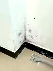 👍Mold is gone👍 Mold removal spray 500ml Say goodbye to moldy walls and furniture Mold remover cleaner Room wood wall floor wallpaper mold remover Anti-mold rate 99% disinfect mold