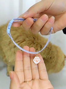 Vòng Cổ Mèo Hoạ Tiết 2 Lớp Có Chốt An Toàn Hình Mèo Có Thể Điều Chỉnh Cho Thú Cưng - iPet Shop