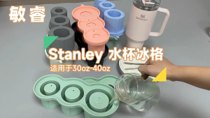 ✨🇸🇬 Stock✨Stanley Ice Cube Tray With Lid Food Grade Silicone Molds Large Capacity  Hollow Cylinder Tumbler Ice Mold