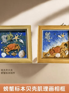 Khung Hình Họa Sò Lim 3D Khung Hình Họa Bản Đồ Địa Lý Biển Du Lịch Sáng Tạo Kỷ Niệm Quà Tặng Trang Trí Nhà Hiện Đại Đơn Giản