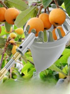 MONLEYTA | Fruit Picking Tool Extendable Pole