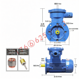 MEINWAY | Explosion-proof Synchronous Motor