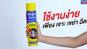 Beger สเปรย์ กำจัดปลวก มอด มด แมลงสาบ 450/600มล Drite Spray กลิ่นเลมอน กำจัดและป้องกัน นาน12สัปดาห์ น้ำยาป้องกันและกำจัดปลวก