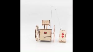 DIY Remote Control Balance Car Kit: Build Your Own Robot Racer: Educational Science Toys: STEM Kids Toys