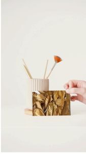 Pembersih Akuarium Daun Ketapang Laut Kering Super 100 Gram