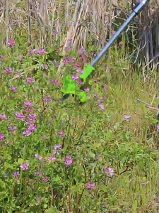 พร้อมส่ง เครื่องตัดหญ้าไฟฟ้าไร้สาย 21V มีแบตเตอรี่ ใช้งานได้ยาวนาน ต่อเนื่อง - ตัดหญ้า ตัดแต่งกิ่ง ได้สบาย ใช้ง่าย น้ำหนักเบา!