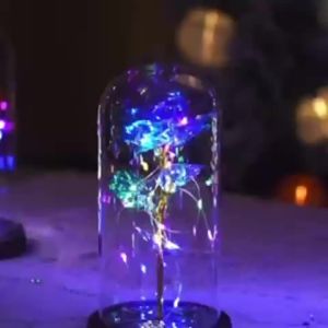 Bó Hoa Thủy Tinh Có Đèn LED Hình Hoa Hồng Galaxy Có Bộ Hẹn Giờ - Món Quà Hoàn Hảo Dành Cho Mẹ Con Gái Bạn Gái Vợ Nhân Dịp Kỷ Niệm Sinh Nhật Giáng Sinh Trang Trí Nhà Cửa