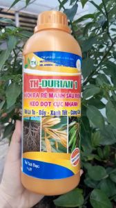 DỊCH TRÙN QUẾ / TH - DURIAN / BỘ 3 CHUYÊN DƯỠNG SẦU RIÊNG / KÍCH RA RỄ RA HOA NUÔI LỚN TRÁI