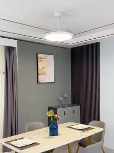 EUROB | Invisible Slim Silent Full Spectrum Eye-Protective Ceiling Fan Light