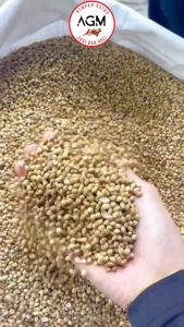 AGM BIJI KETUMBAR KECIL  / CORIANDER SEEDS SMALL READY STOCK 250G / 500G / 1KG