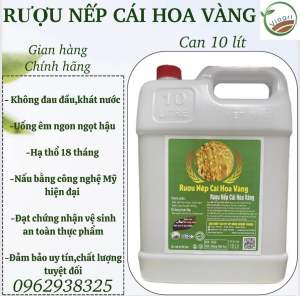 RƯỢU NẾP CÁI HOA VÀNG (can 10 lít)Ủ CHUM HẠ THỔ UỐNG KHÔNG ĐAU ĐẦU KHÁT NƯỚC
