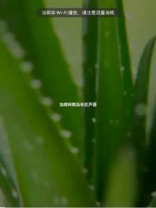 Aloe vera gel-Alo vera gel 芦荟胶30g remove acne/acne marks Skin repair after sunburn/scald Lasting moisture whitening skin