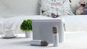[✅SG Ready Stock] Karaoke Set Home KTV Speakers Wireless Bluetooth Speaker Mini Portable Microphone Home Karaoke Set compatible Home Tv Family Party KTV Audio With 2 Wireless Microphones