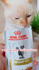 85g Royal Canin URINARY SO Cat Feline Wet Cats Food POUCH