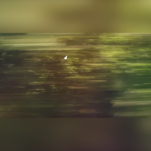 CooperVision Live Silicone Hydrogel Daily Contact Lenses (30 pcs)