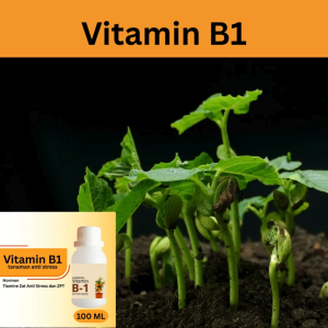 Vitamin B1 Tanaman Premium – Anti Layu & Stres | Nutrisi Pindah Tanam & Perangsang Akar