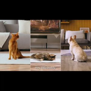 PETKIT YUMSHARE DUAL-HOPPER 2 WITH CAMERA Smart Pet Feeder | 2-Year Warranty