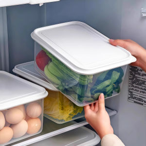 Large Refrigerator Food Storage Box