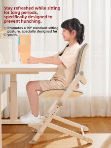 QINGJIE | Adjustable Posture Correcting Chair