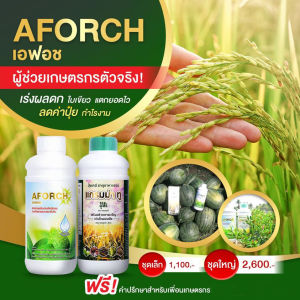 เอฟอช 1 ขวด ปูไซ้ 1 ขวด (ชุด 1 ลิตร) ให้ปูไซ้แทรกซึมเข้ากับพืช 3-5 นาที ใช้ชิ้นน้ำปูไซ้ต่างๆ