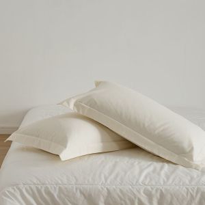 Simple Pure Color Pillowcase Pair Hotel Style