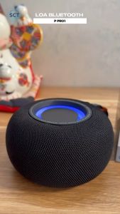 ( MỚI 2024 ) Loa Bluetooth Mini Cầm Tay P PRO 1 - Âm Thanh Cực Sắc Nét Bass Mạnh Mẽ  Thiết Kế Nhỏ Gọn Dễ Sử Dụng  Mang Theo Mọi Lúc Mọi Nơi