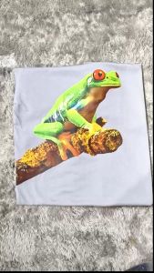 Kaos Pria Premium 3 Dimensi Tshirt Oblong Kodok Animasi Frog Katun 24s 100% H020 by Hans & Co